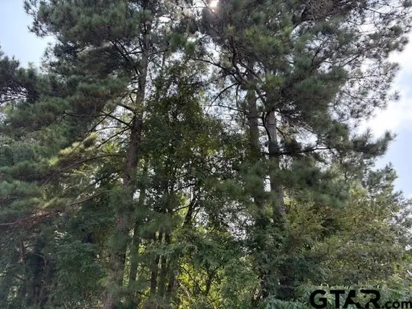 1395 County Road 3405, Jacksonville, TX 75766