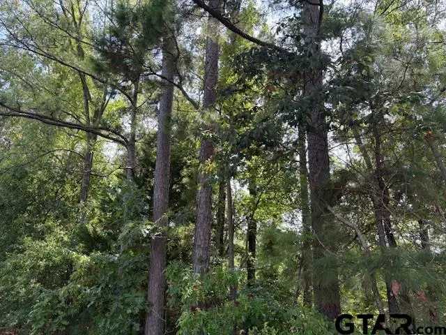 1395 County Road 3405, Jacksonville, TX 75766 - Image #2