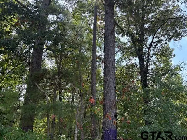 1395 County Road 3405, Jacksonville, TX 75766 - Image #3