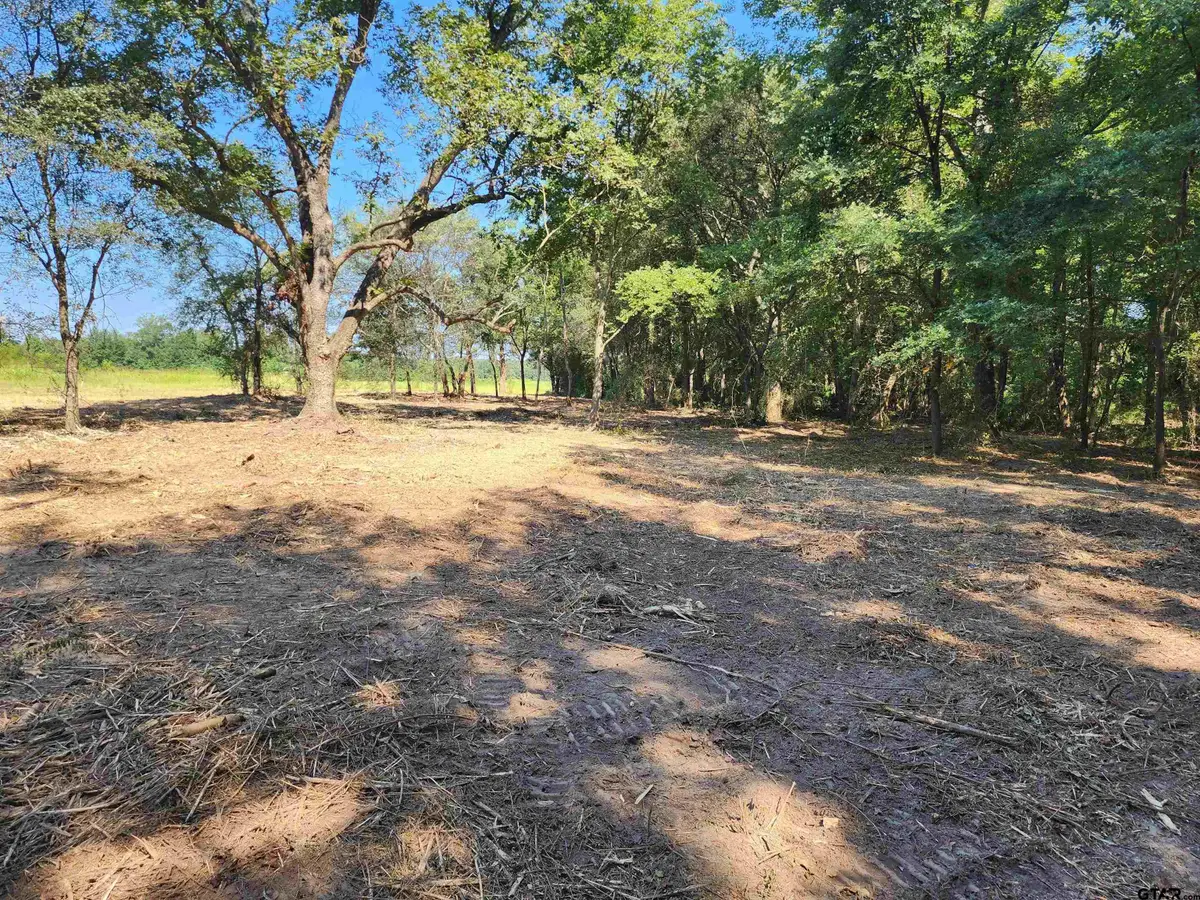 TBD CR 2208, Pittsburg, TX 75686 - Image #1