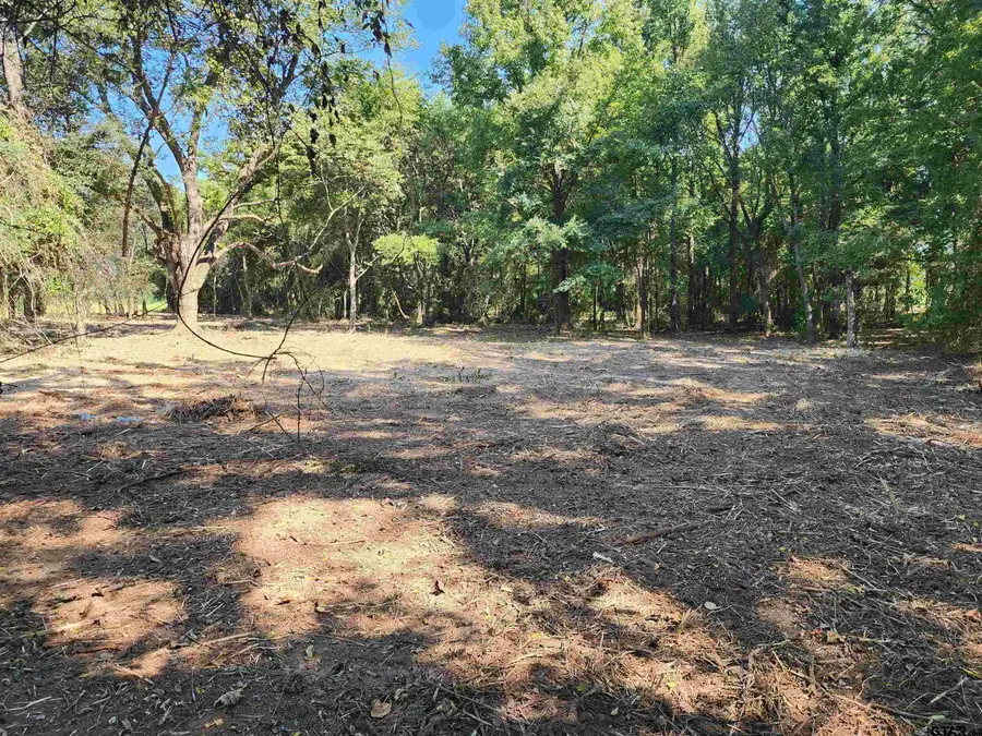 TBD CR 2208, Pittsburg, TX 75686 - Image #3