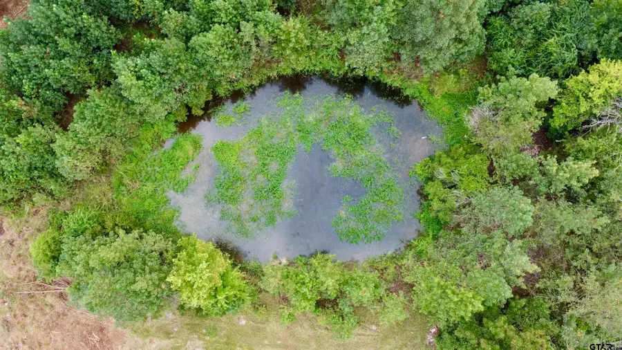 TBD FM 250 N, Naples, TX 75568 - Image #3