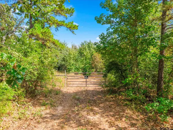 1162 County Road 1647, Avinger, TX 75630