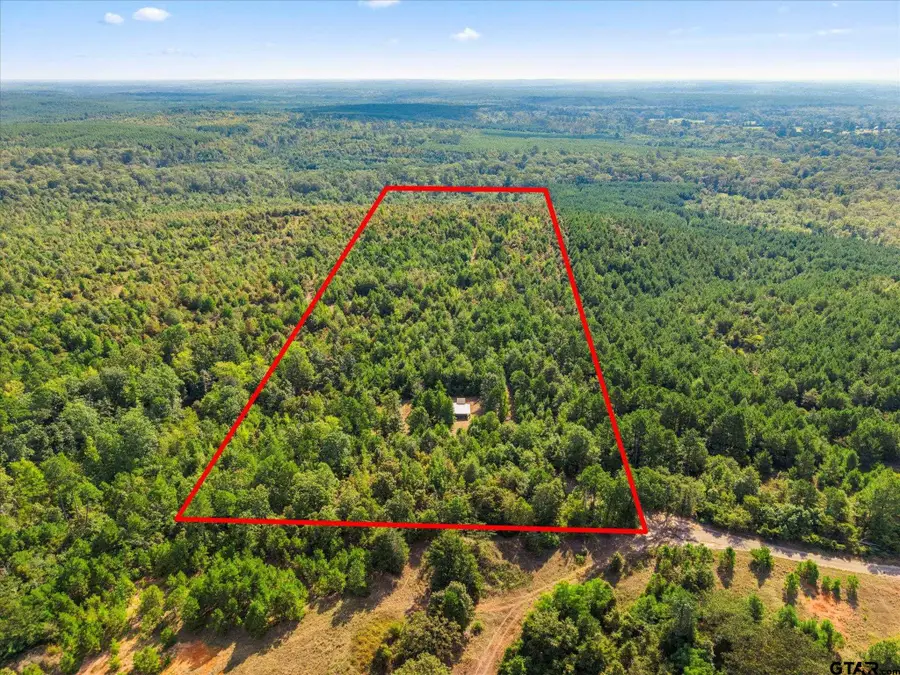 1162 County Road 1647, Avinger, TX 75630 - Image #2