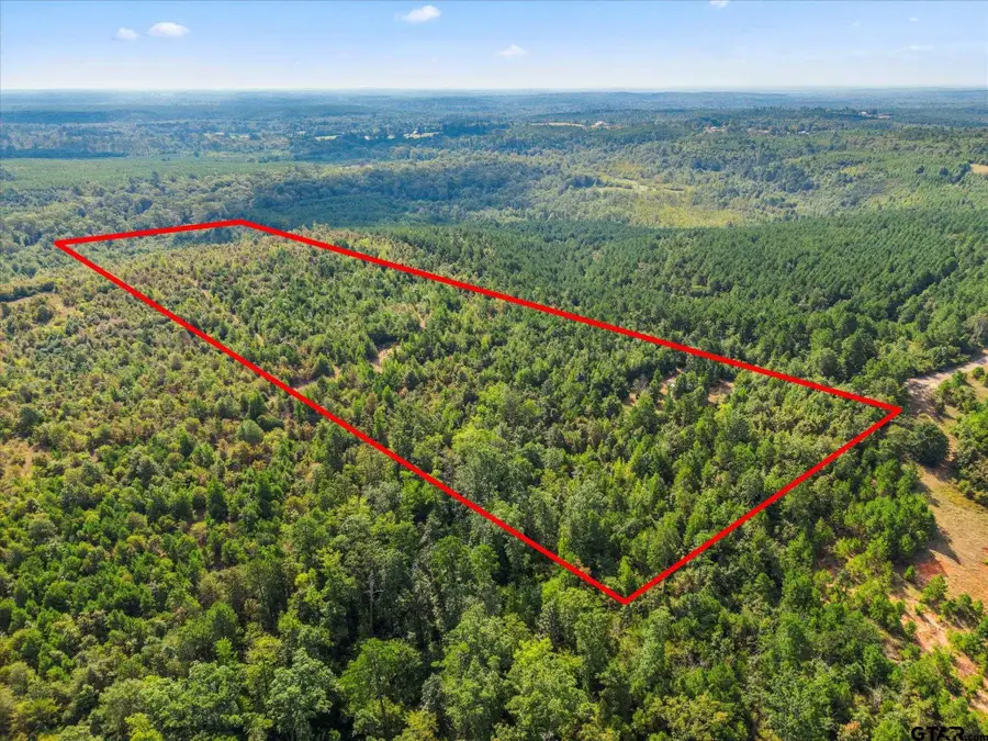 1162 County Road 1647, Avinger, TX 75630 - Image #3