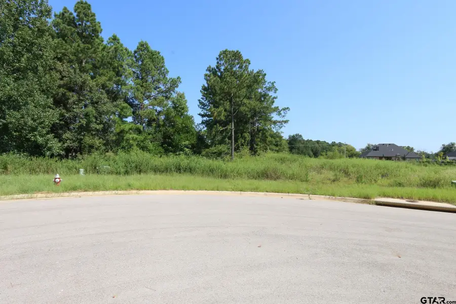 14205 Aliyah Court, Tyler, TX 75703 - Image #3