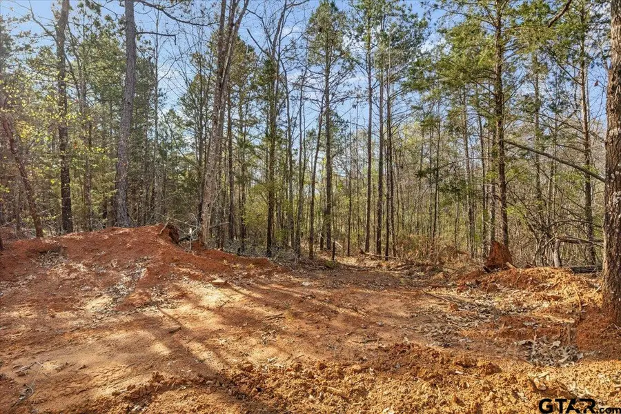 TBD FM 2015, Tyler, TX 75708 - Image #2