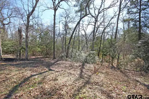 2522 Barrett Ct, Tyler,  75703