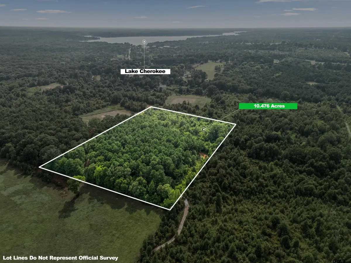 TBD County Road 2208 D, Easton, TX 75641 - Image #1