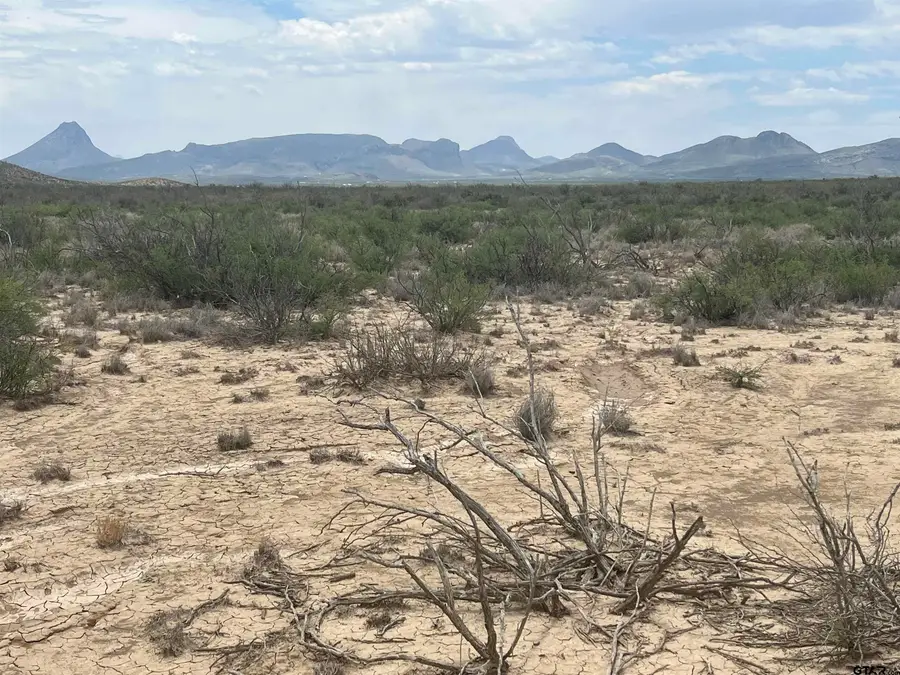 15434 Virgil Clark aka Arlington, Terlingua, TX 79852 - Image #3