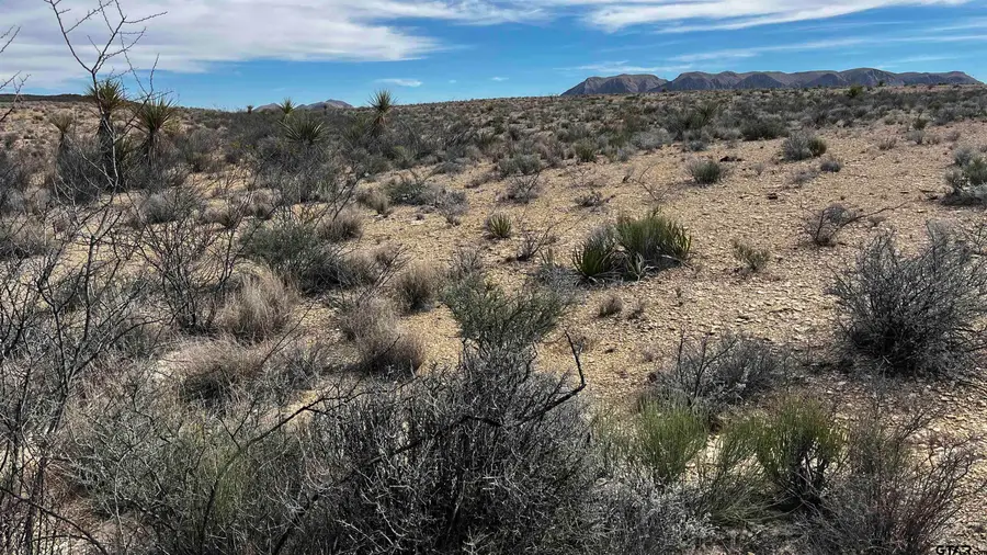 900 Rancho Manana Loop PID 13910, Terlingua, TX 79852 - Image #2