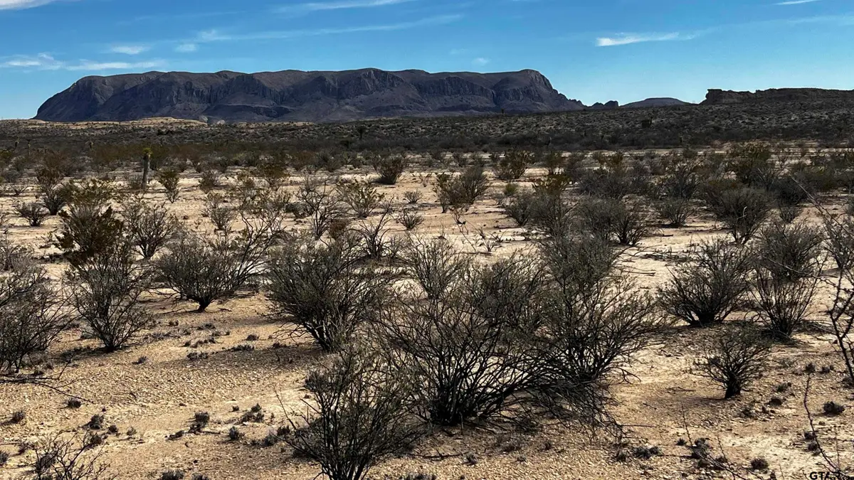 13962 Rancho Manana Loop PID 13962, Terlingua, TX 79852 - Image #1