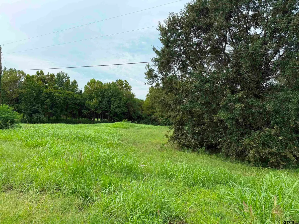 TBD E SH 11, Winnsboro, TX 75494 - Image #1