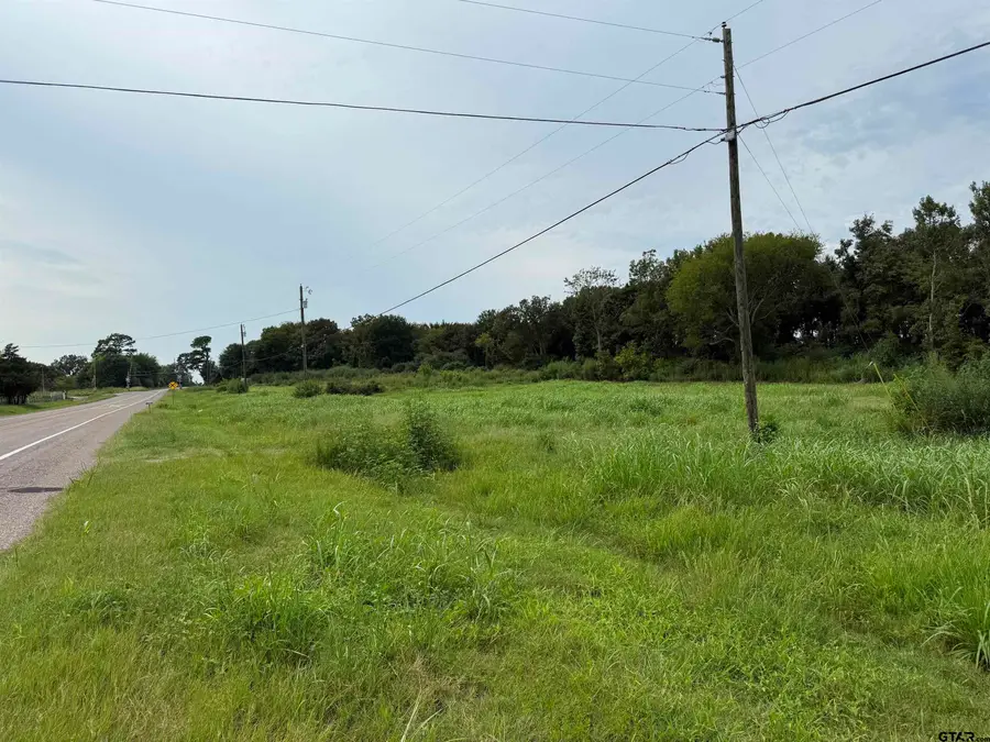 TBD E SH 11, Winnsboro, TX 75494 - Image #3
