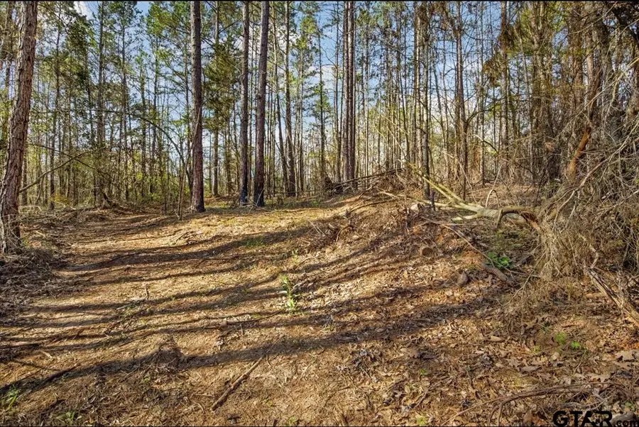 TBD FM 2015, Tyler, TX 75708 - Image #2