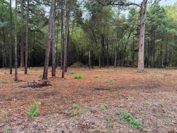 11503 C R 168, Tyler, TX 75703