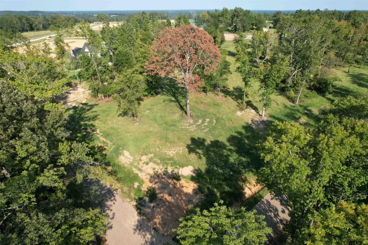 Lot #8 CR 2123, Whitehouse, TX 75791 - Image #1