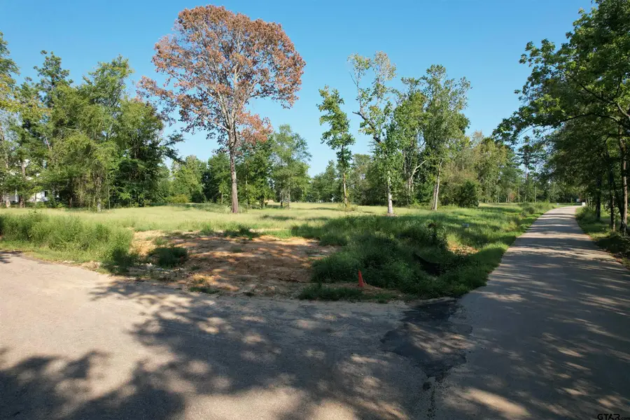 Lot #8 CR 2123, Whitehouse, TX 75791 - Image #2