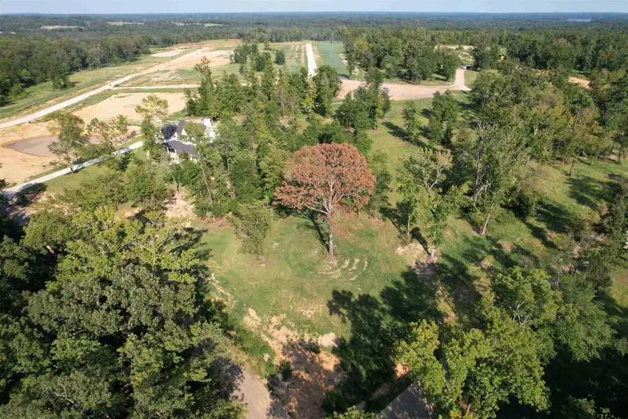 Lot #8 CR 2123, Whitehouse, TX 75791 - Image #3