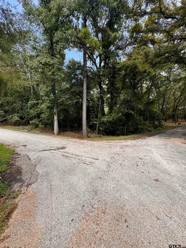 00 HIDEOUT CIR, Flint, TX 75762