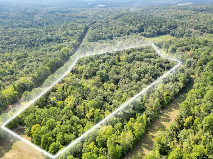 111 CR 1511, Avinger, TX 75630 - Image #3