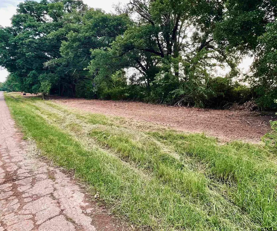 LOT 6 , Leach Woods East  CR 1560, Alba, TX 75410 - Image #2