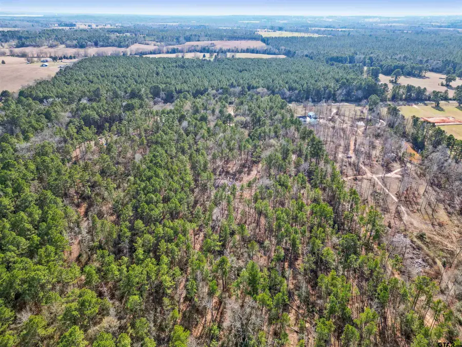 12076 FM 2274, Troup, TX 75789 - Image #3