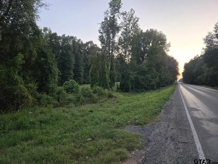 TBD FM 2517, Carthage, TX 75633 - Image #3