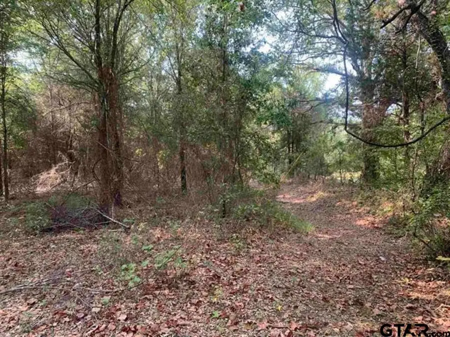 TBD CR 479 (Tract 2), Lindale, TX 75771 - Image #3