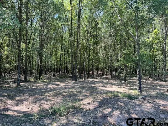 TBD CR 3925 Lot 4, Mount Pleasant, TX 75455 - Image #3