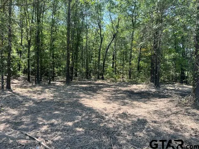 TBD County Road 3925  Lot 7, Mount Pleasant, TX 75455 - Image #3
