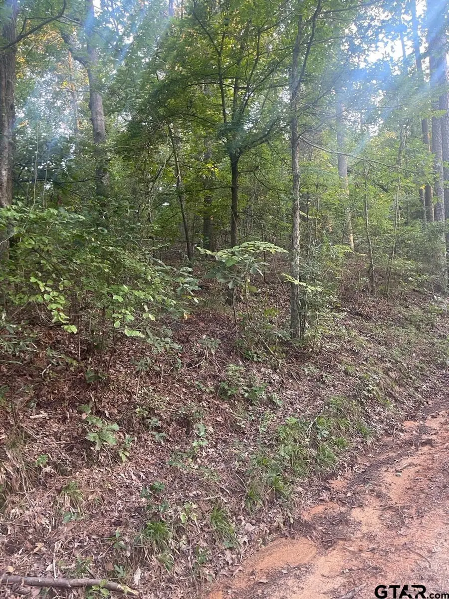 TBD Corvette Street, Ore City, TX 75683 - Image #2