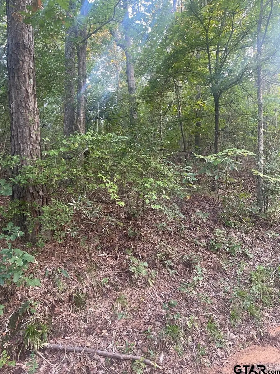 TBD Corvette Street, Ore City, TX 75683 - Image #3