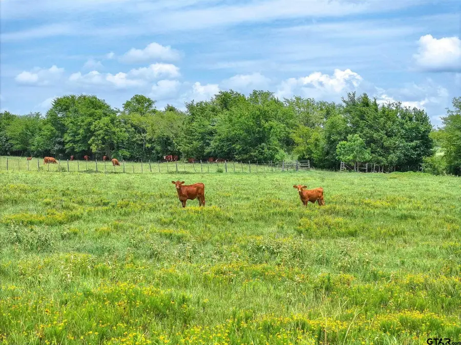 Tract 1 FM 855, Jacksonville, TX 75766 - #3