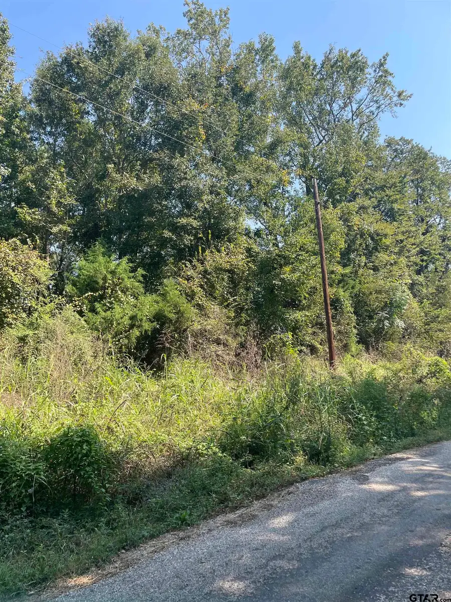 TBD CR 3510, Leesburg, TX 75451 - Image #2
