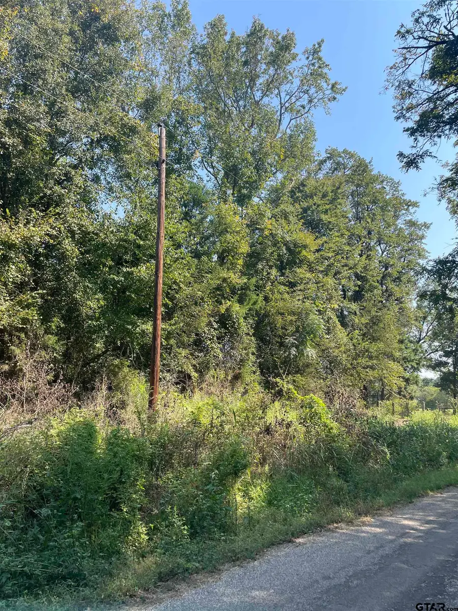 TBD CR 3510, Leesburg, TX 75451 - Image #3
