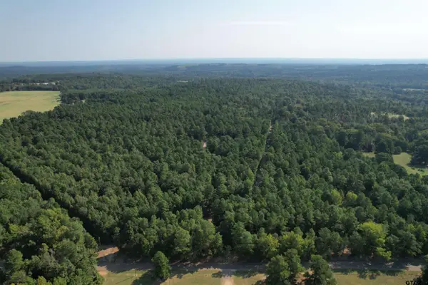 TBD ACR 1220, Grapeland, TX 75844