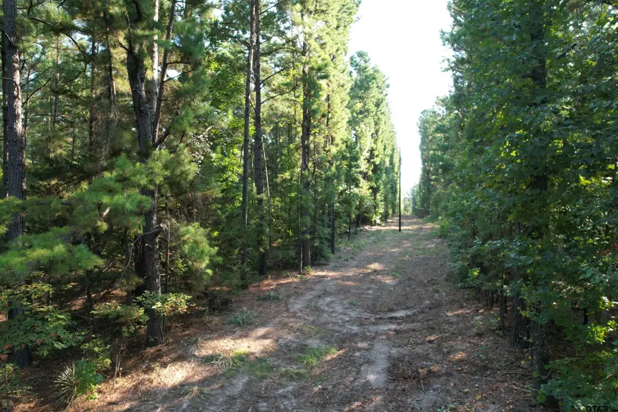 TBD ACR 1220, Grapeland, TX 75844 - Image #2