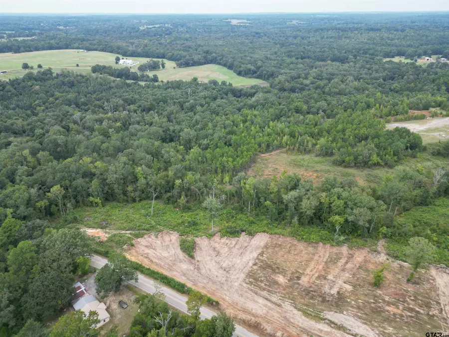 Lot 1 County Road 223, Arp, TX 75750 - Image #3