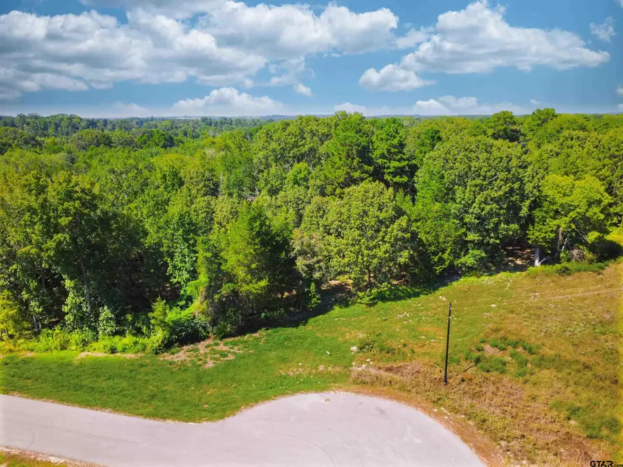 Lot 32 Creek Bottom Ct, Winona, TX 75792 - Image #3