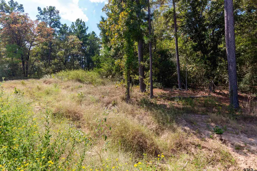 TBD CR 3947, Hawkins, TX 75765 - Image #3