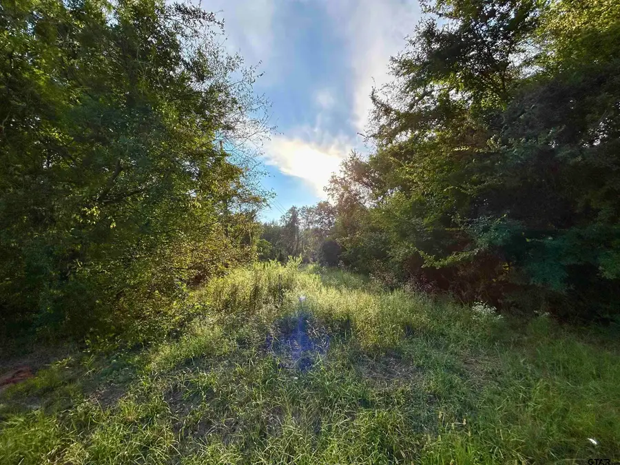 Lot 1 FM 1519, Leesburg, TX 75451 - Image #2
