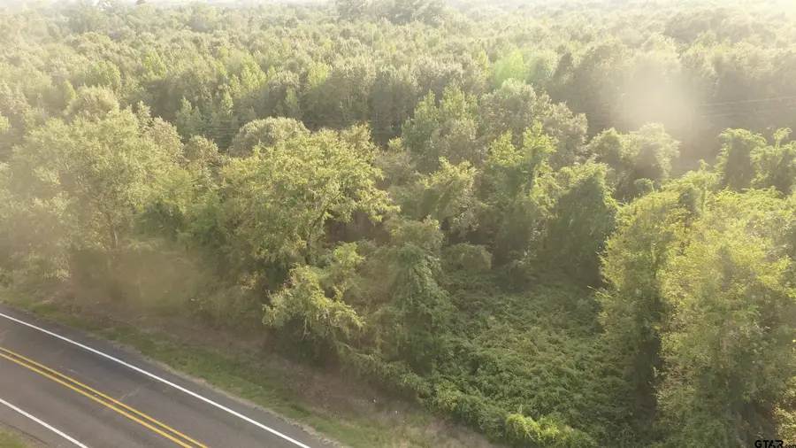 Lot 1 FM 1519, Leesburg, TX 75451 - Image #3