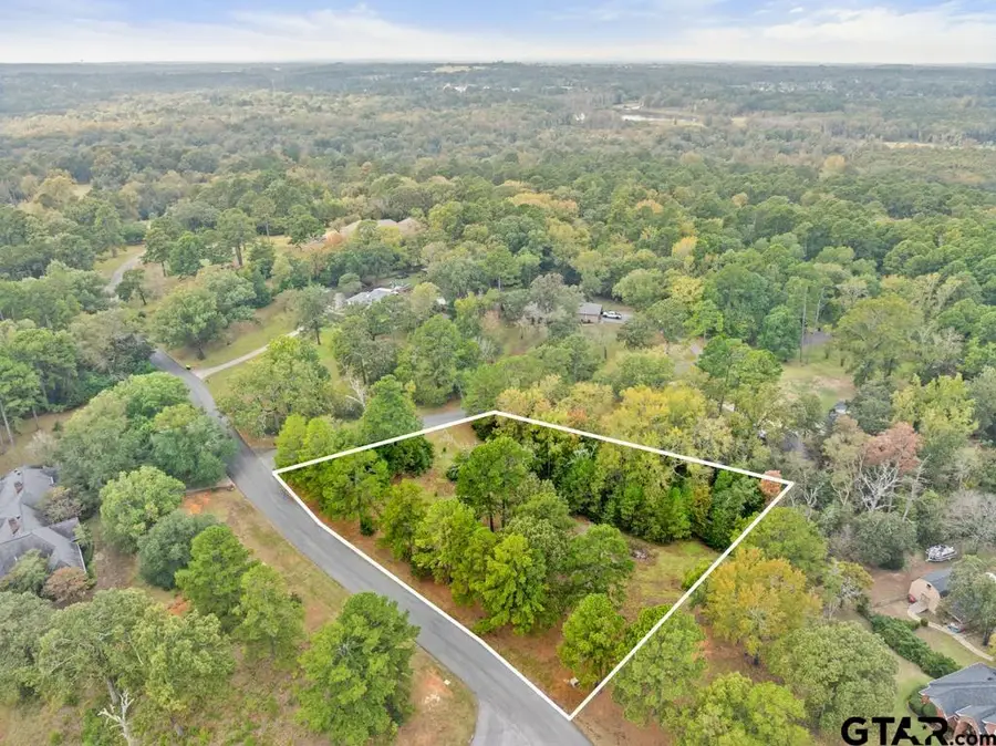 19488 Copperoaks Dr, Tyler, TX 75703 - Image #3