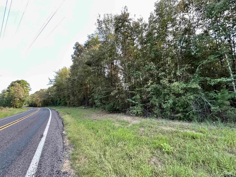 TBD FM 1519, Leesburg, TX 75451 - Image #2