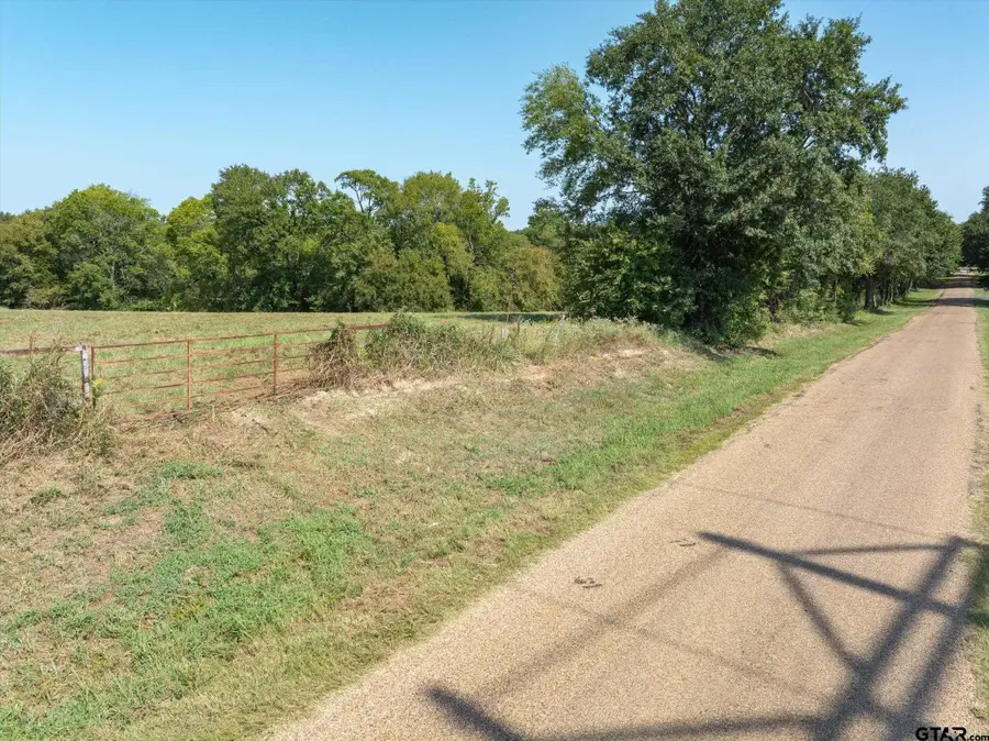 TBD VZ County Road 2411, Canton, TX 75103 - #3