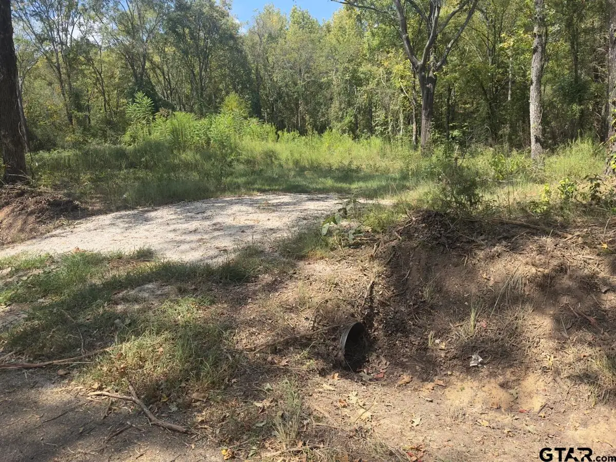 TBD County Road 1660, Mount Pleasant, TX 75455 - Image #1