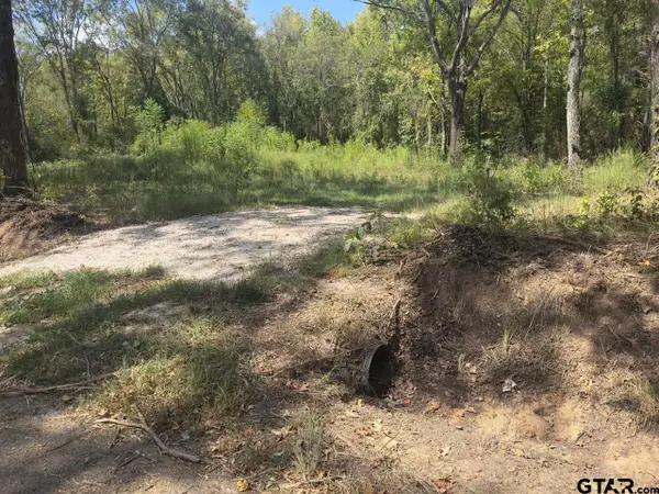 TBD County Road 1660, Mt Pleasant, TX 75455