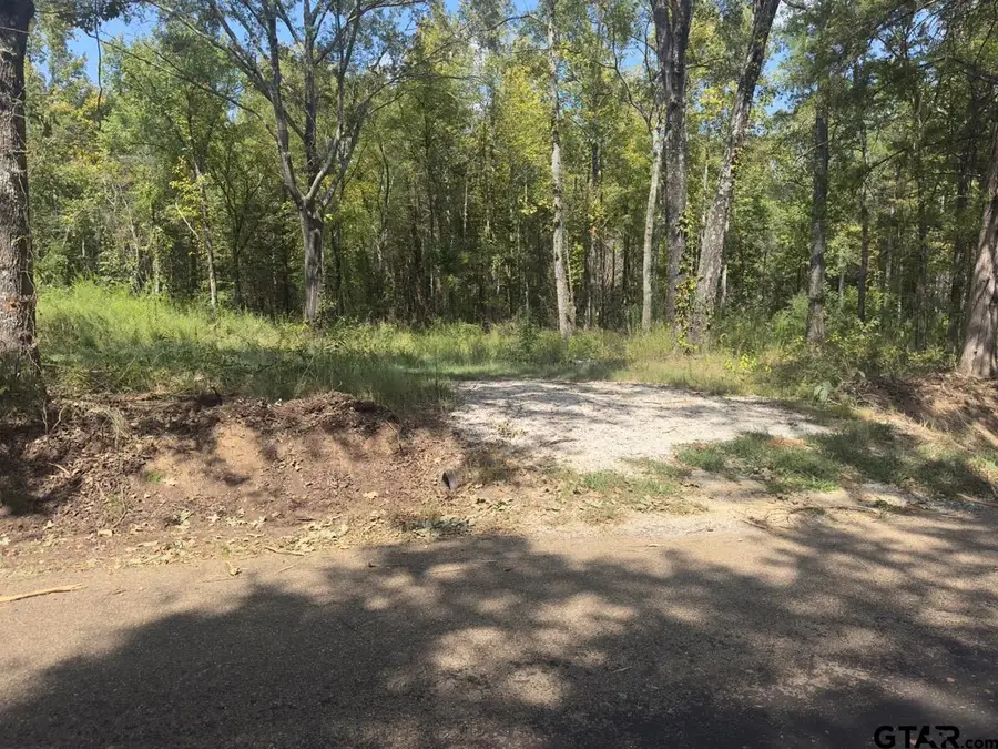 TBD County Road 1660, Mount Pleasant, TX 75455 - Image #2
