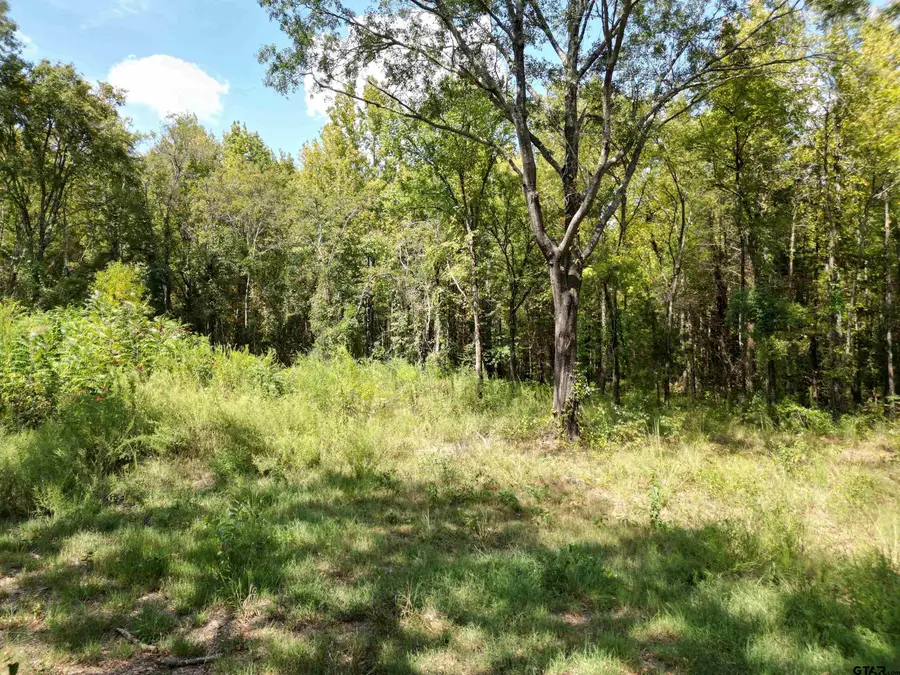 TBD County Road 1660, Mount Pleasant, TX 75455 - Image #3